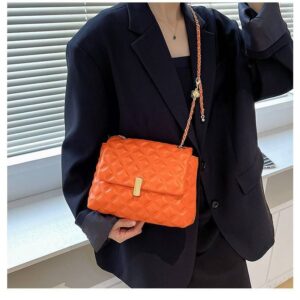 ladies bag (0800)